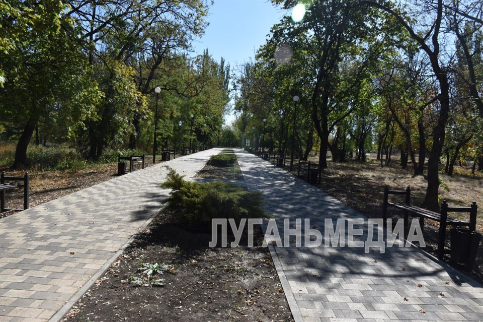В Брянке завершились работы по благоустройству общественной территории в районе Гончаровского пруда № 1 В Брянке завершились работы по благоустройству общественной территории в районе Гончаровского пруда № 1