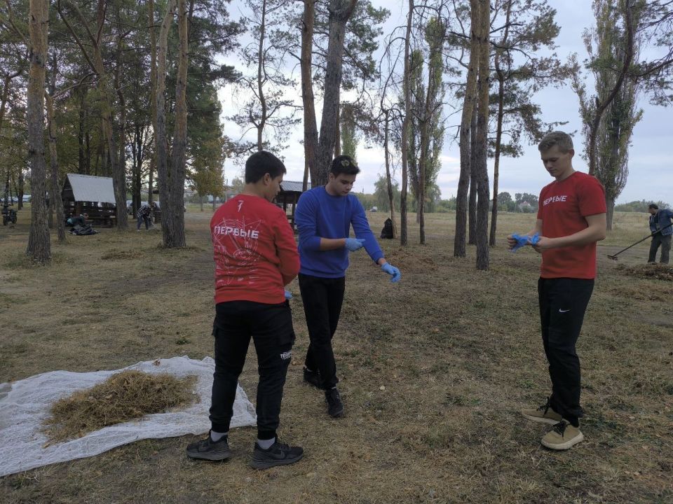 Школьники Старобельского муниципального округа приняли участие в экологической акции «Зелёная Россия» Школьники Старобельского муниципального округа приняли участие в экологической акции «Зелёная Россия»