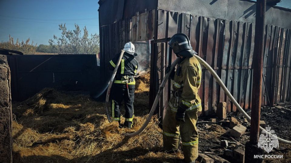 Спасатели МЧС России отстояли от огня жилые дома в Станично-Луганском м.о Спасатели МЧС России отстояли от огня жилые дома в Станично-Луганском м.о