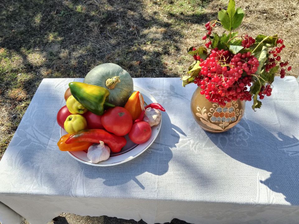 В Рубежанском центре соцобслуживания ЛНР открыт кулинарный факультет для пенсионеров в рамках проекта "Университет третьего возраста" В Рубежанском центре соцобслуживания ЛНР открыт кулинарный факультет для пенсионеров в рамках проекта "Университет третьего возраста"