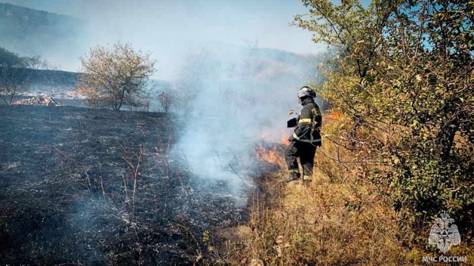 Количество сухотравных пожаров не снижается несмотря на осадки Количество сухотравных пожаров не снижается несмотря на осадки