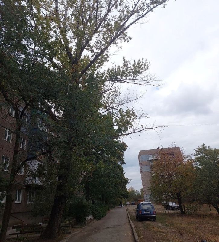 Председатель Совета городского округа проинспектировал ход работ по благоустройству внутриквартальных дворов, в том числе - по ул. Гмыри, 8 Председатель Совета городского округа проинспектировал ход работ по благоустройству внутриквартальных дворов, в том числе - по ул. Гмыри, 8