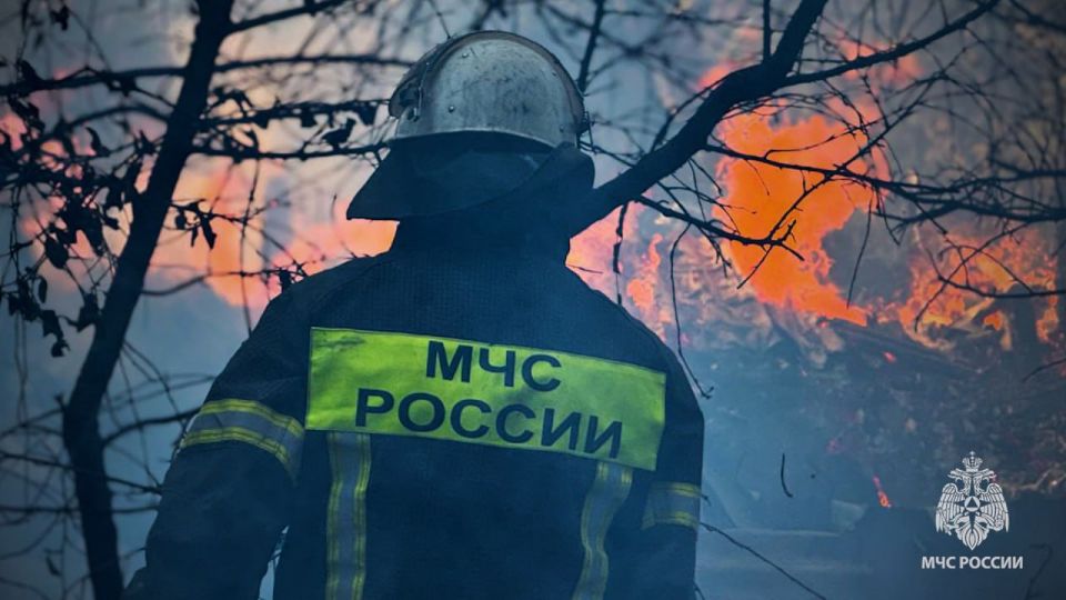 Министр здравоохранения ЛНР Наталия Пащенко выступила на Форуме «Интеграция Луганской Народной Республики: Результаты и новые вызовы» Министр здравоохранения ЛНР Наталия Пащенко выступила на Форуме «Интеграция Луганской Народной Республики: Результаты и новые вызовы»