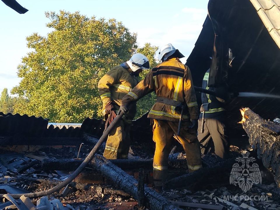 �������� ��� ������ �������� �� ���� ���� � �. �����������