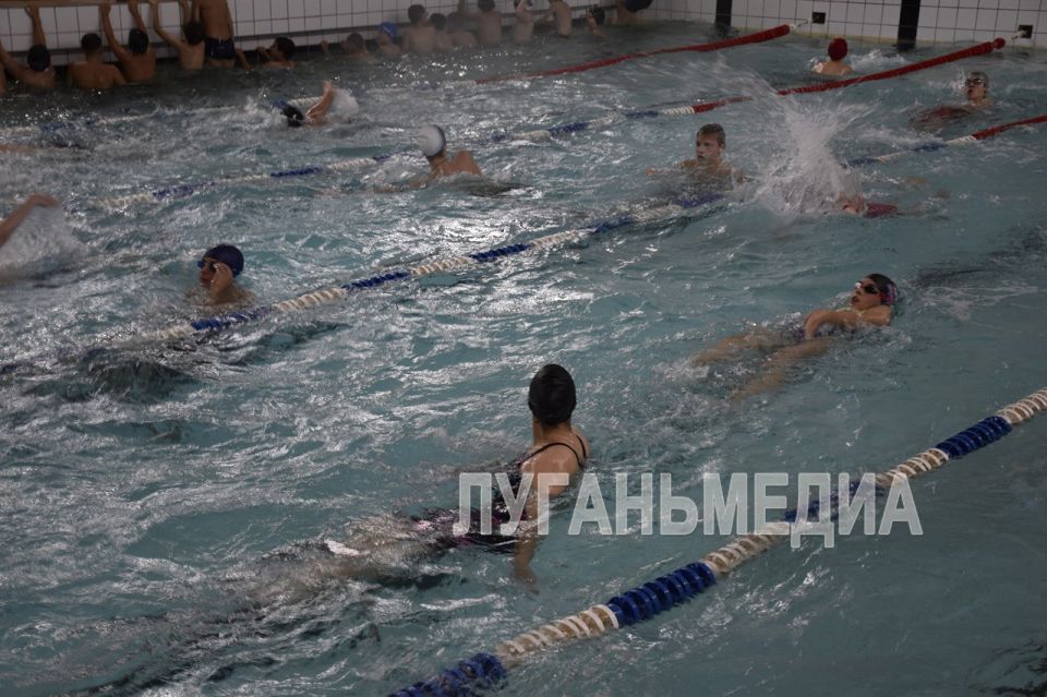 В Красном Луче дан старт плавательному сезону В Красном Луче дан старт плавательному сезону