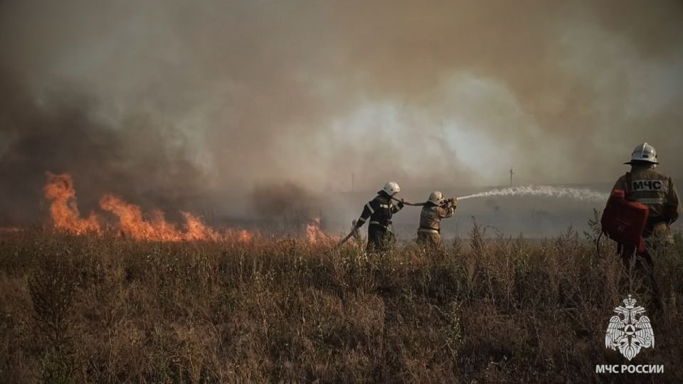 Количество ландшафтных пожаров в ЛНР не уменьшается Количество ландшафтных пожаров в ЛНР не уменьшается