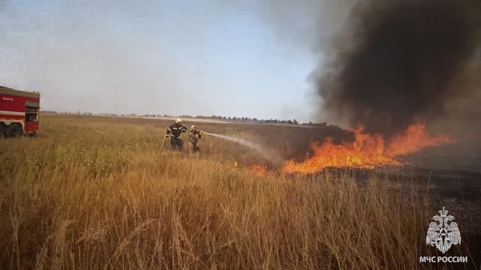 Количество ландшафтных пожаров в ЛНР не уменьшается Количество ландшафтных пожаров в ЛНР не уменьшается