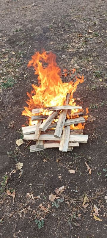 На стадионе "Победа" прошел спортивный праздник На стадионе "Победа" прошел спортивный праздник