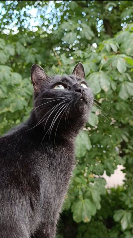 Бу! Начнем этот октябрь с черноты-милоты Бу! Начнем этот октябрь с черноты-милоты