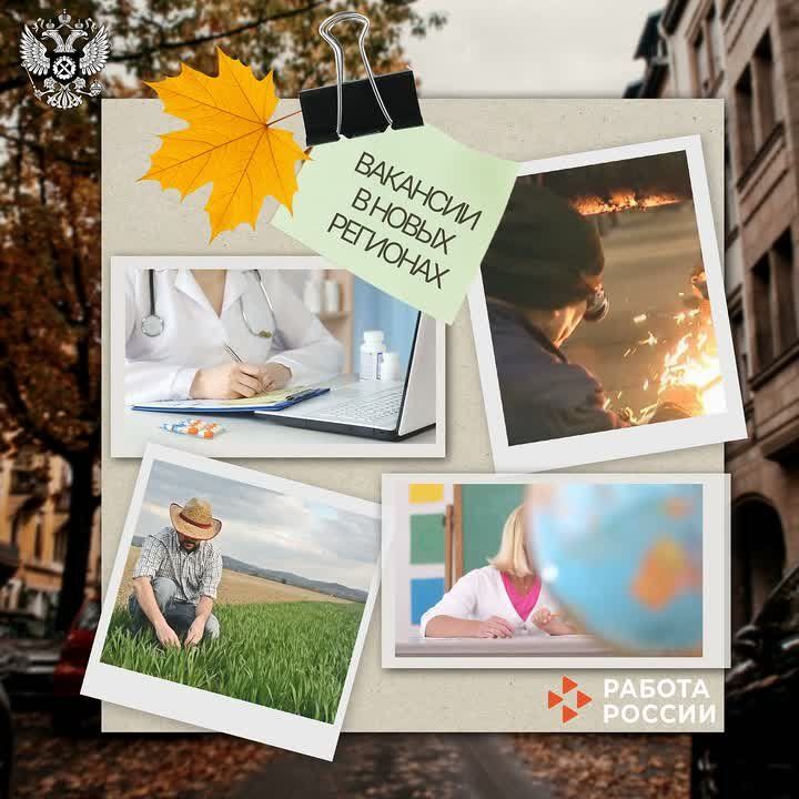 Более 49 тысяч вакансий — новые регионы России ждут специалистов!