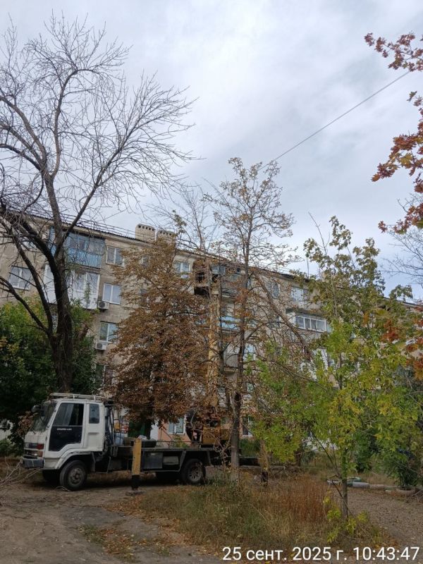 Сергей Козенко: В соответствии с муниципальным контрактом, заключенным между Администрацией Краснодонского муниципального округа и компанией ООО «КомфортСервис», на территории городов Краснодона и Молодогвардейска... Сергей Козенко: В соответствии с муниципальным контрактом, заключенным между Администрацией Краснодонского муниципального округа и компанией ООО «КомфортСервис», на территории городов Краснодона и Молодогвардейска...