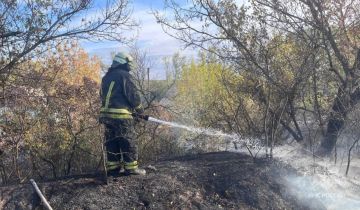 Сентябрь позади, но ландшафтных пожаров не становится меньше