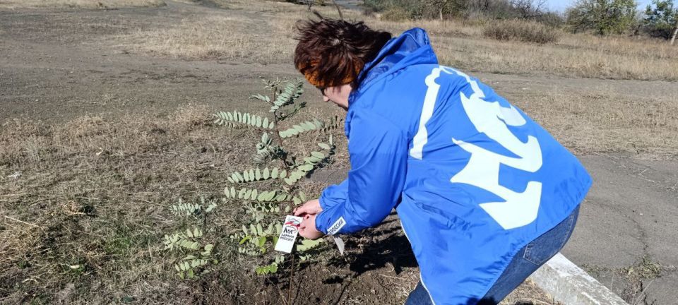 В Крепенском прошла акция «Сад Памяти» — в честь павших героев Великой Отечественной войны В Крепенском прошла акция «Сад Памяти» — в честь павших героев Великой Отечественной войны
