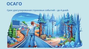 Полис ОСАГО можно оформить в отделениях МФЦ ЛНР