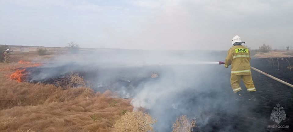 За минувшие сутки спасатели МЧС России ликвидировали в ЛНР 32 ландшафтных пожара За минувшие сутки спасатели МЧС России ликвидировали в ЛНР 32 ландшафтных пожара