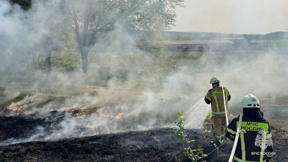 За минувшие сутки спасатели МЧС России ликвидировали в ЛНР 32 ландшафтных пожара За минувшие сутки спасатели МЧС России ликвидировали в ЛНР 32 ландшафтных пожара