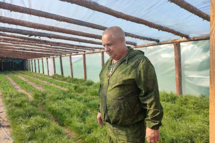 Высаживание сосен, тушение пожаров и сбор шишек: лесничество республики работает круглый год Высаживание сосен, тушение пожаров и сбор шишек: лесничество республики работает круглый год