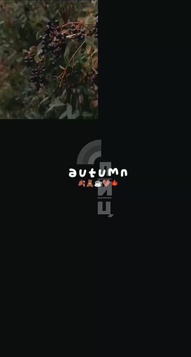 С добрым осенним утром! Всем удачной рабочей недели!