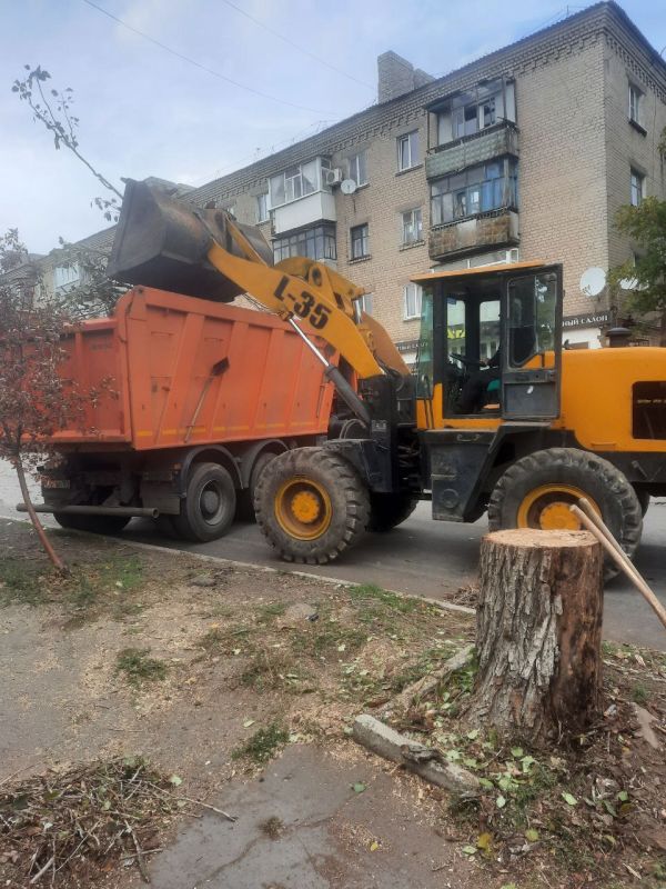 Андрей Рубанцов: В Ровеньках ведётся работа по удалению аварийных деревьев Андрей Рубанцов: В Ровеньках ведётся работа по удалению аварийных деревьев