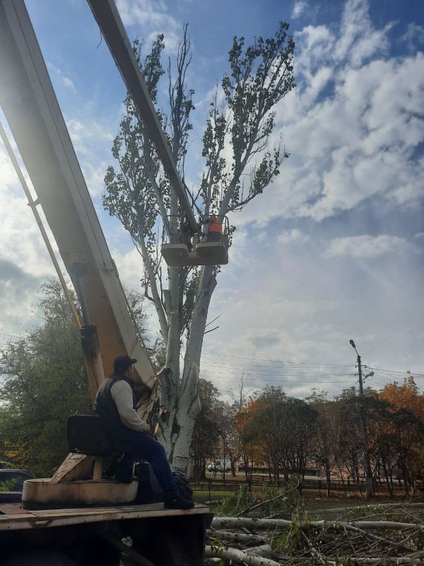 ������������ ������� �����: � ��������� ������� ��������� �������