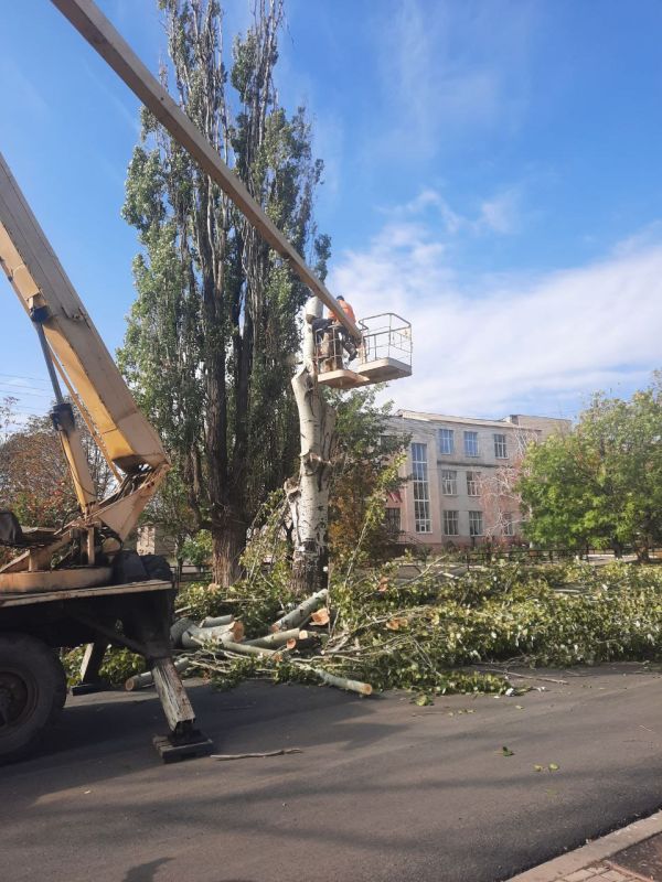 ������������ ������� �����: � ��������� ������� ��������� �������