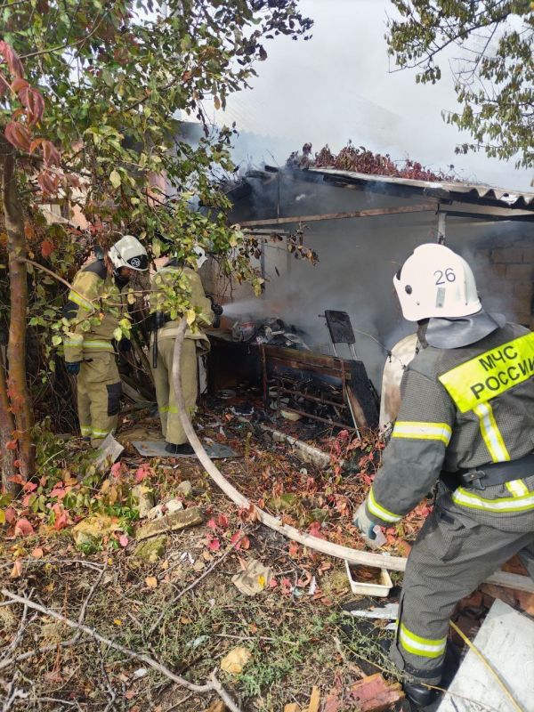 Предположительно, из-за короткого замыкания электропроводки пострадала беседка Предположительно, из-за короткого замыкания электропроводки пострадала беседка