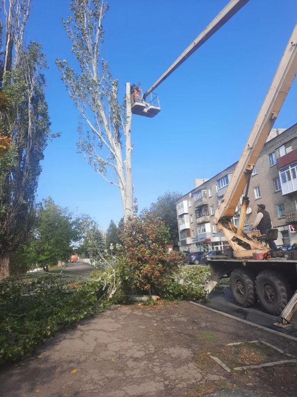 ������������ ������� �����: � ��������� ������� ��������� �������