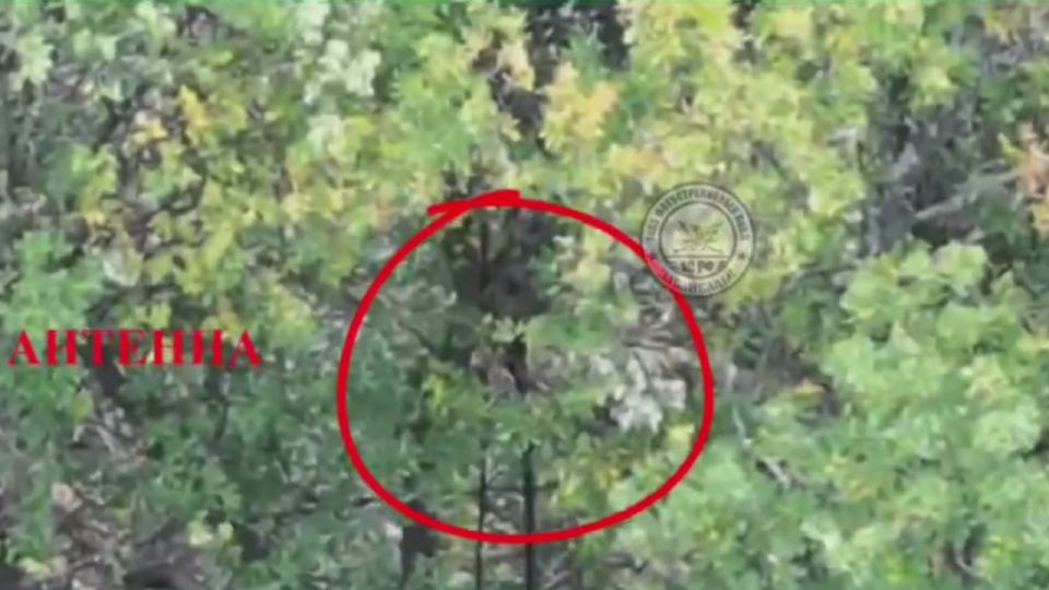 Операторы FPV-дронов Шестой дивизии Южной группировки войск уничтожили пикап и антенну управления БпЛА киевских боевиков