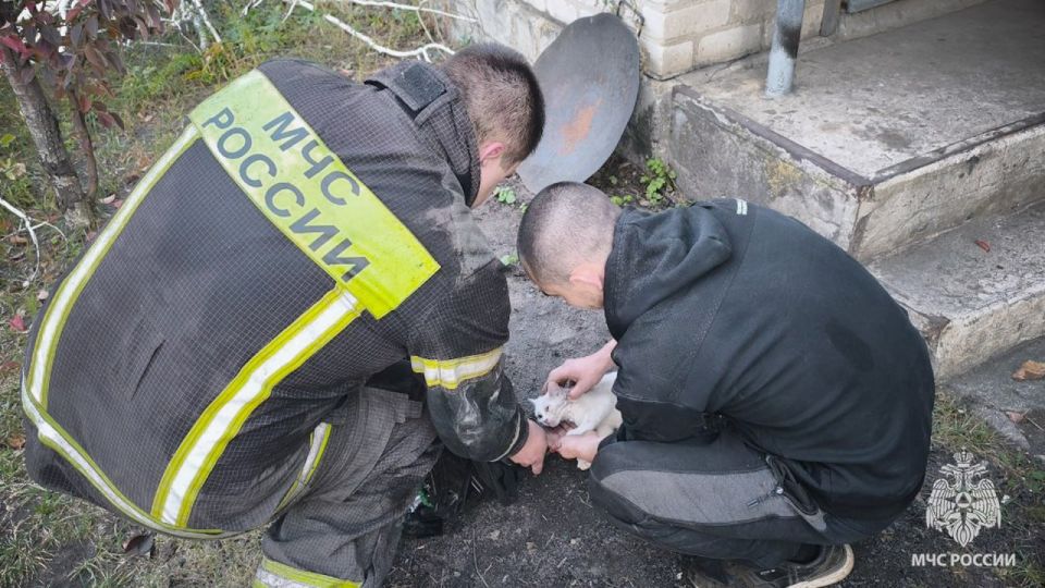 Предположительно, из-за короткого замыкания электропроводки едва не сгорел дом Предположительно, из-за короткого замыкания электропроводки едва не сгорел дом