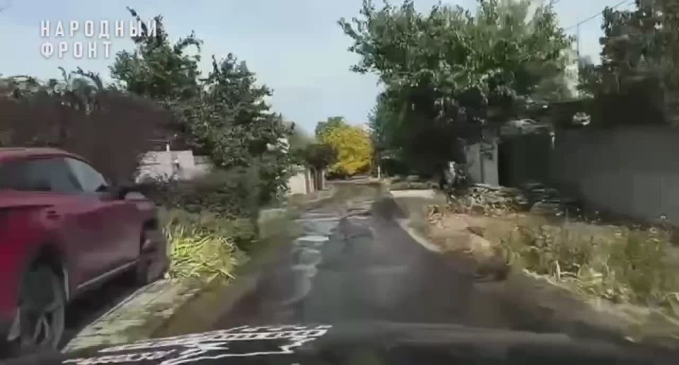            !