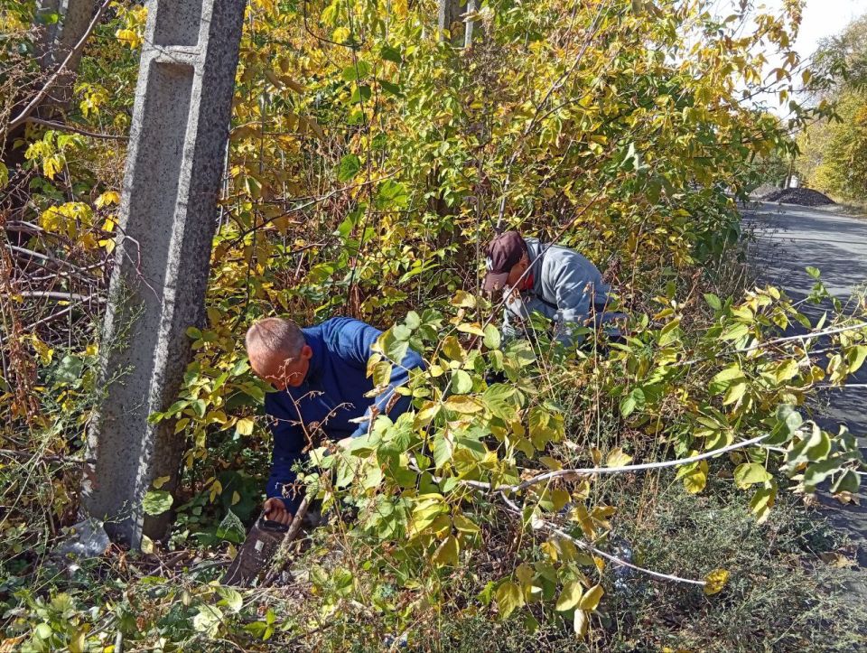 Благоустройство территорий в городском округе Ровеньки Благоустройство территорий в городском округе Ровеньки