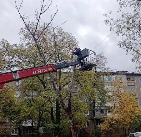 Коммунальные службы проводят работы на территории города Коммунальные службы проводят работы на территории города
