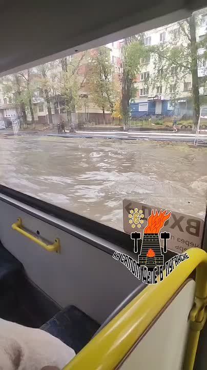   ,     