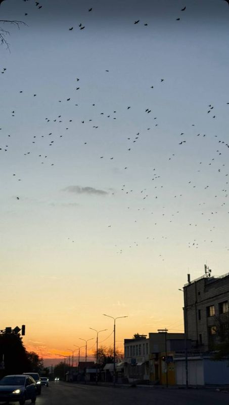   11     6      16   ,      -      