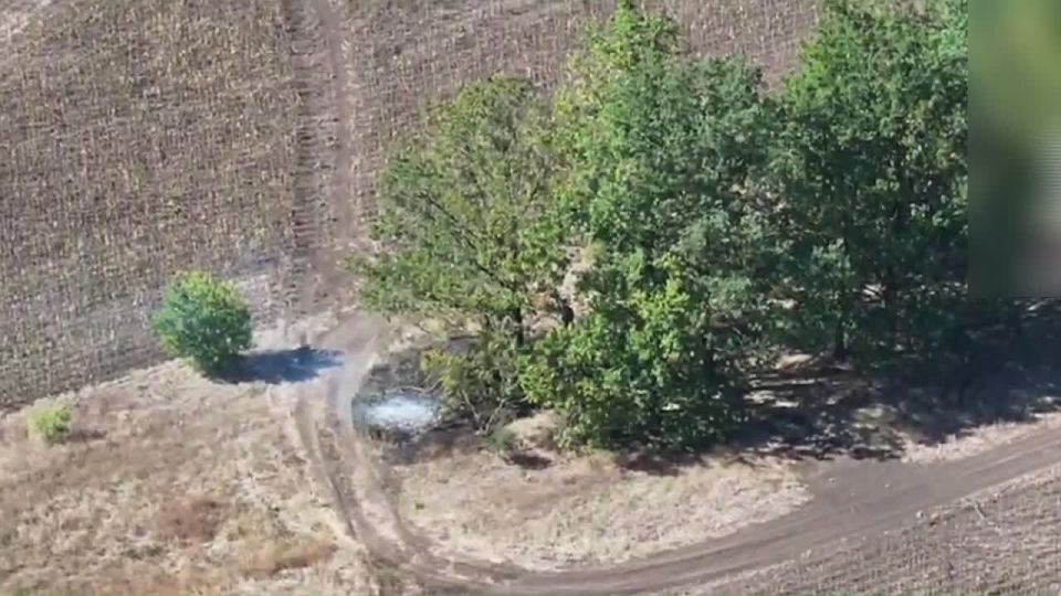 Операторы 71-й дивизии Южной группировки войск уничтожили пункт управления БпЛА киевских боевиков на Краматорско-Дружковском направлении