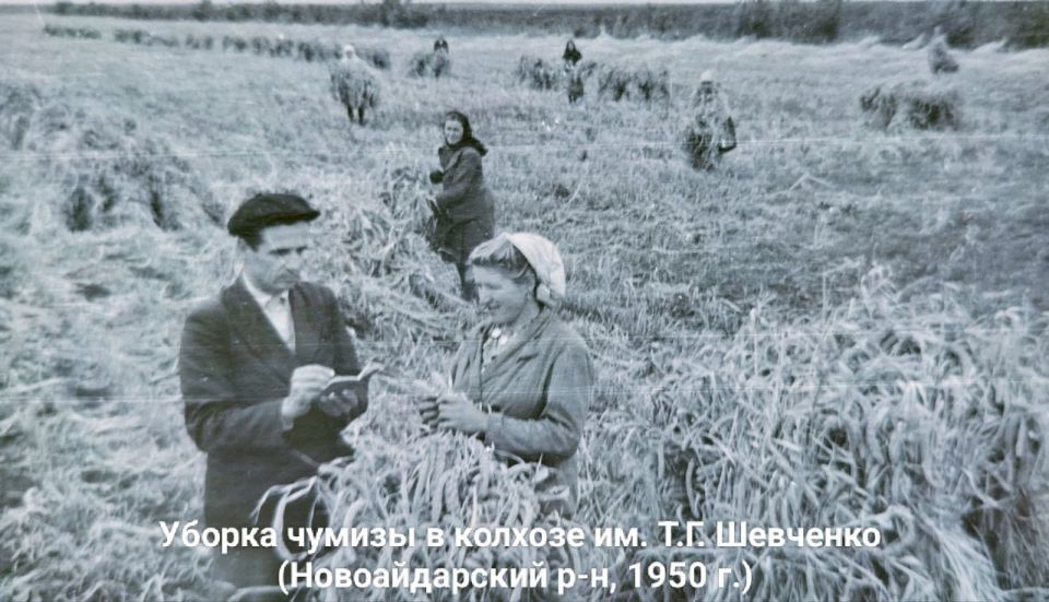 Хлебосольная Луганщина: из истории сельского хозяйства Хлебосольная Луганщина: из истории сельского хозяйства