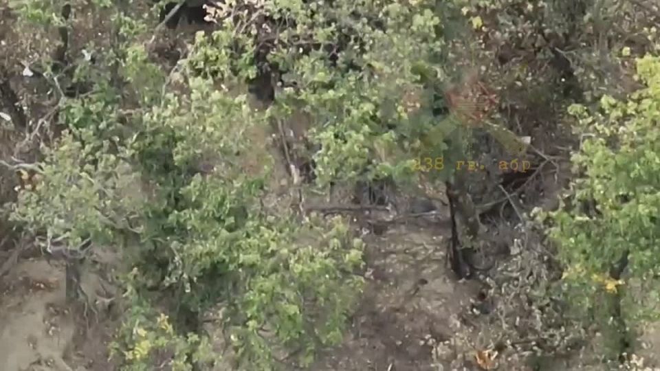 Военнослужащие Южной группировки войск уничтожили два пункта управления БпЛА и октокоптер R-18 киевских боевиков на Константиновском направлении в ДНР
