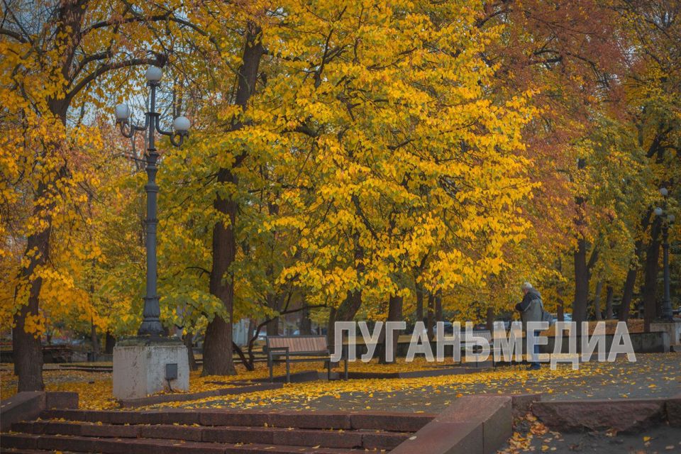 Осень щедро украсила золотом Сквер имени М. Матусовского Осень щедро украсила золотом Сквер имени М. Матусовского