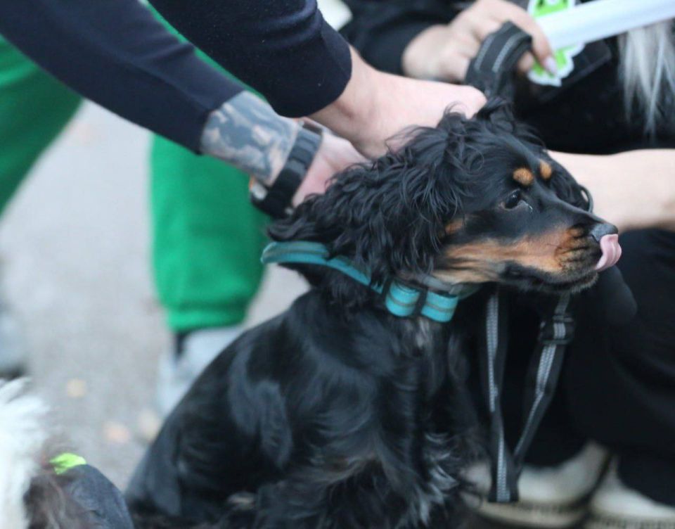 Сотрудники региональной Госавтоинспекции и автошколы в рамках акции «Засветись!» раздали жителям столицы световозвращающие аксессуары Сотрудники региональной Госавтоинспекции и автошколы в рамках акции «Засветись!» раздали жителям столицы световозвращающие аксессуары