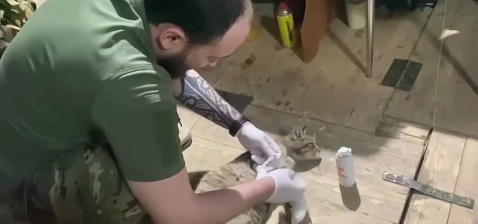 У наших бойцов самые добрые сердца