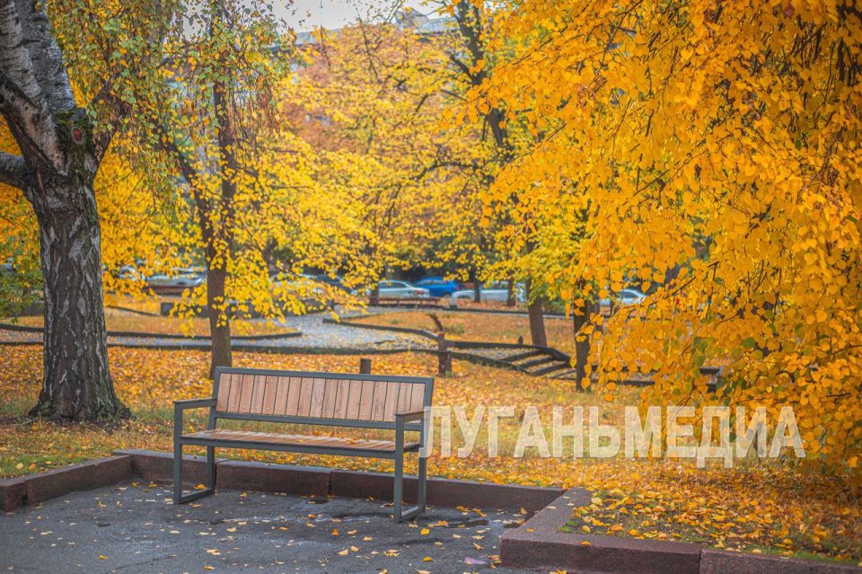 Осень щедро украсила золотом Сквер имени М. Матусовского