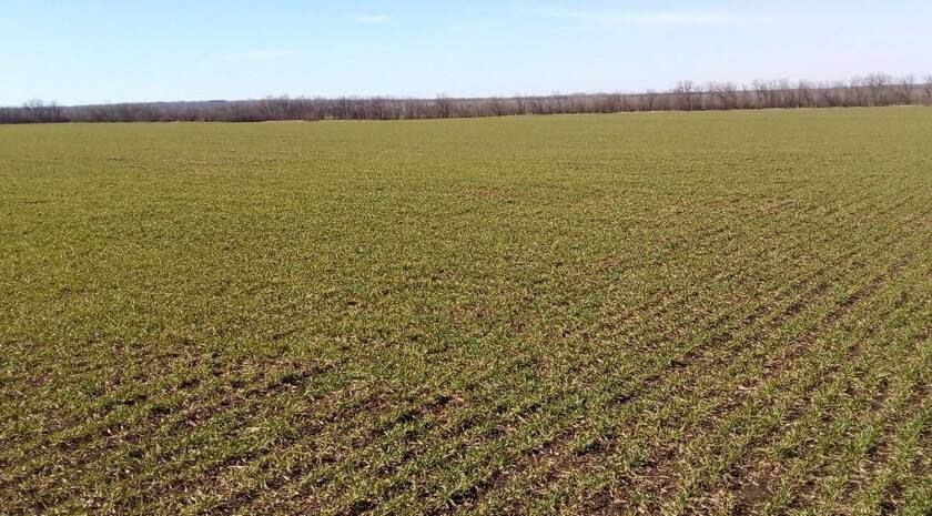  ,         . ,   ,    , , ,    