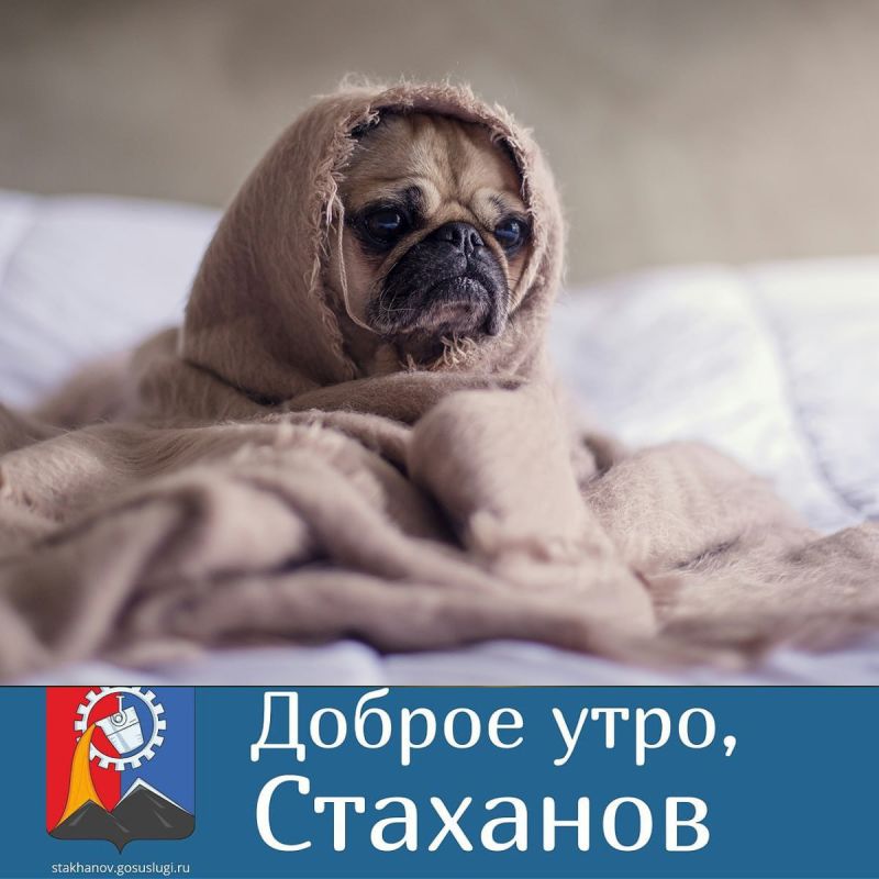 Доброе утро!. Удивительных и приятных событий в новом дне! Пусть он принесёт радость, улыбки и много приятных моментов