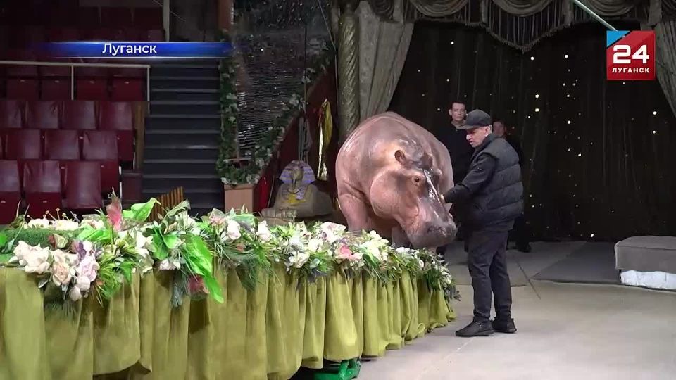 Мастер-класс для студентов колледжа ЛГАКИ и воспитанников детских региональных коллективов провели цирковые артисты программы «Тропик шоу»
