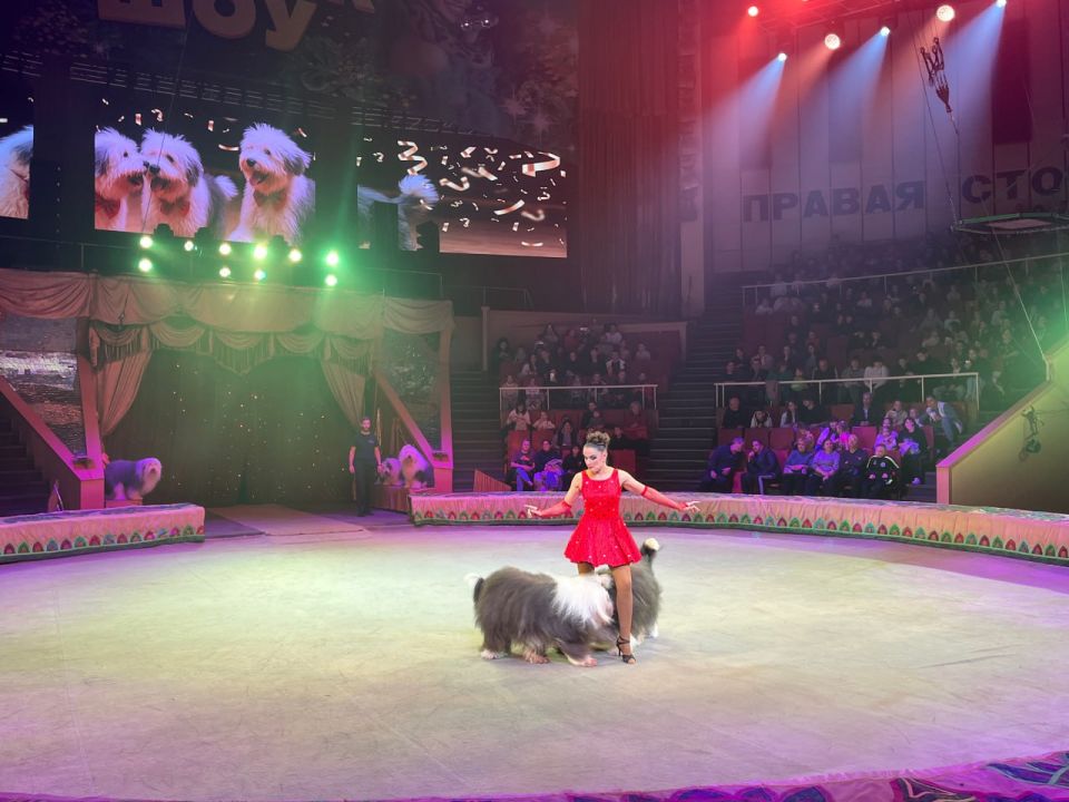 � ��������� ��������������� ����� ����������� ����������� �������� ��������� ������� ���