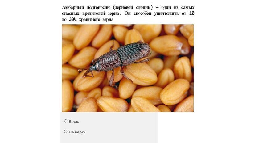 Агродиктант от Россельхозцентра Агродиктант от Россельхозцентра
