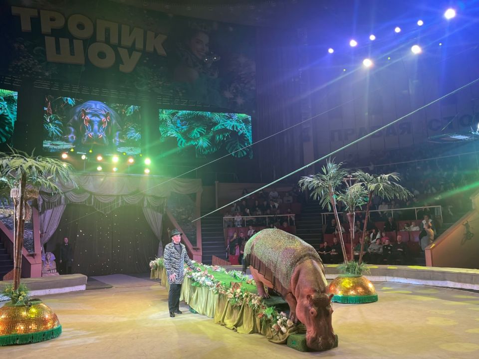 � ��������� ��������������� ����� ����������� ����������� �������� ��������� ������� ���