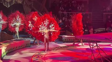 Программа «Тропик шоу» завершилась в Луганском государственном цирке