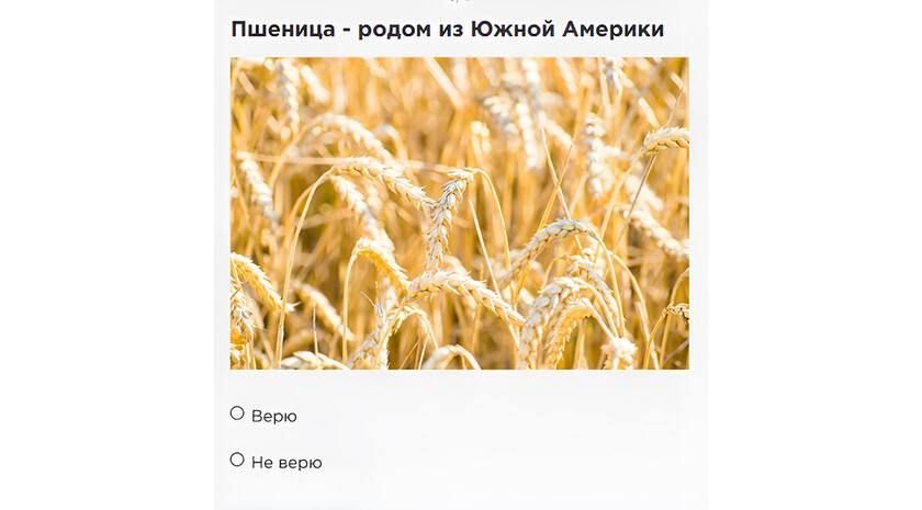 Агродиктант от Россельхозцентра Агродиктант от Россельхозцентра