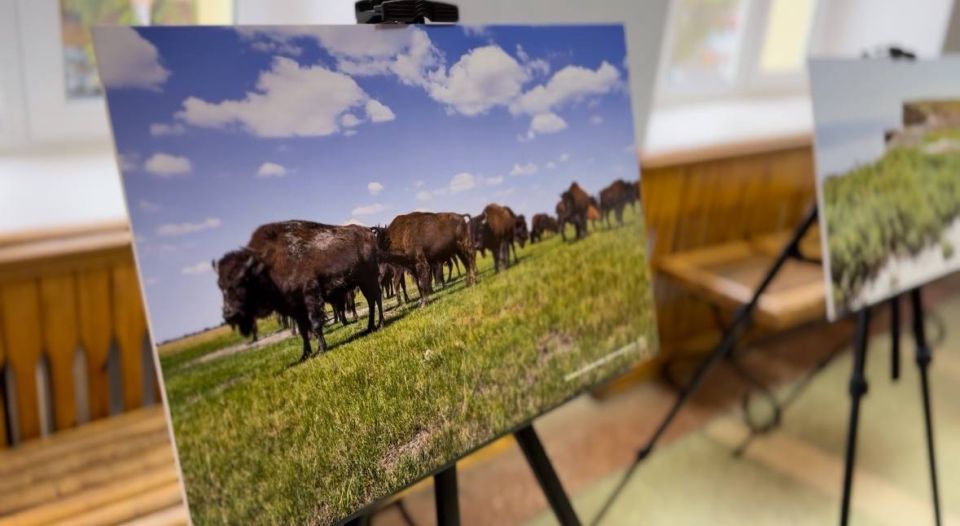 Сотрудники Минприроды ЛНР приняли участие в открытии фотовыставки «Картины природы Новороссии и Донбасса» Сотрудники Минприроды ЛНР приняли участие в открытии фотовыставки «Картины природы Новороссии и Донбасса»